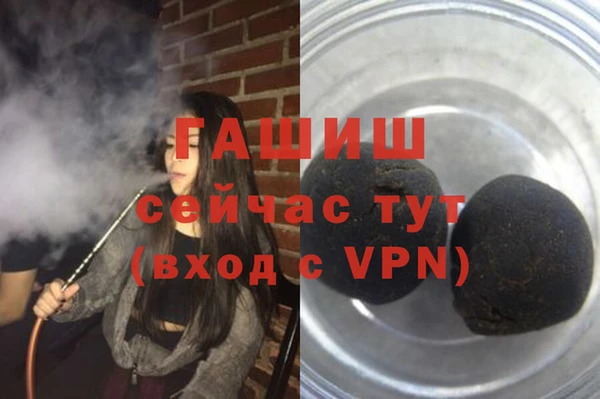 крисы Алзамай