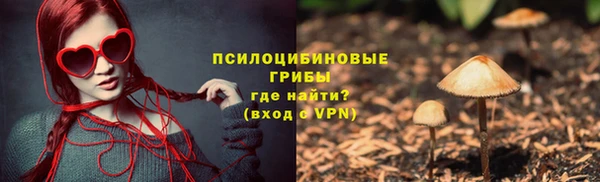 спиды Алексеевка