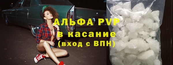 крисы Алзамай