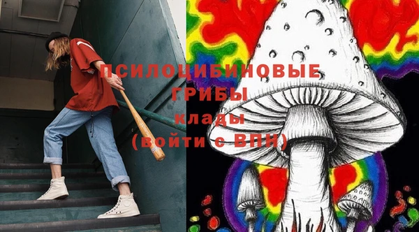 крисы Алзамай