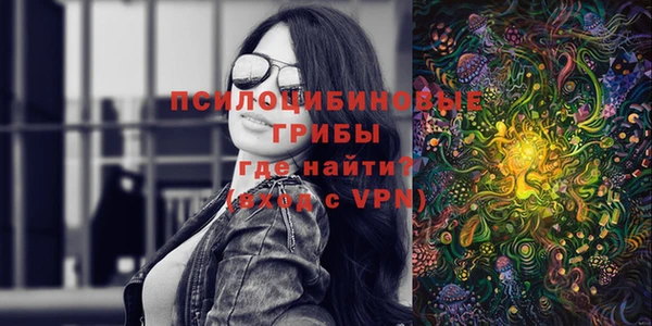 первитин Алексин